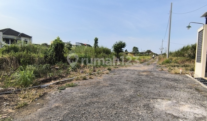 Elangraya Cheap Land Plots 2