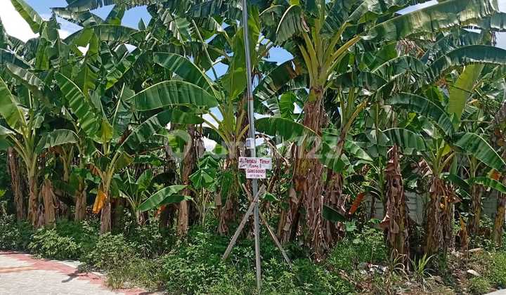 Kavling Siapbangun Sendangmulyo Hook 2