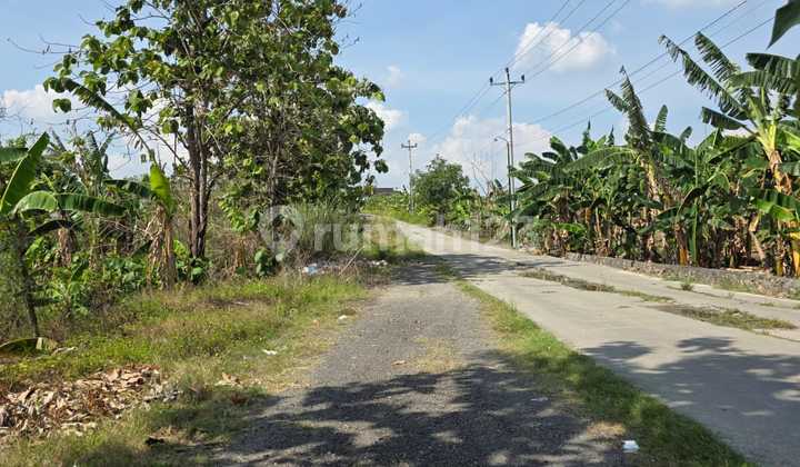 Tanahkavlinglokasi Bukitrowosari 1