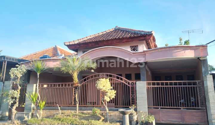 Murahh .rumah Siap Huni Di Larangan Tokol Tlanakan Pamekasan Madura Murahh .rumah Siap Huni Di Larangan Tokol Tlanakan Pamekasan Madura