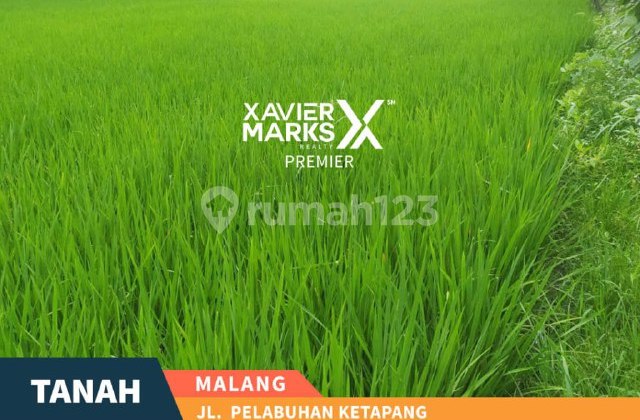 Tanah Luas di Jalan Pelabuhan Ketapang Bakalankrajan Sukun Malang