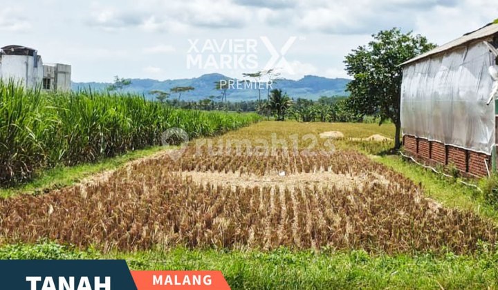 Tanah Sawah Luas di Jl. Trunojoyo Kedung Pedaringan Kepanjen Malang
