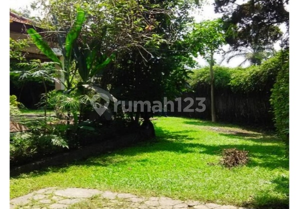 Rumah Ciumbuleuit Cocok Untuk Berbagai Usaha 2