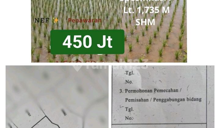 Active and Profitable Rice Fields Always Successful, Never Failed Location Cimanggung Sumedang Active and Profitable Rice Fields Always Successful, Never Failed Location Cimanggung Sumedang