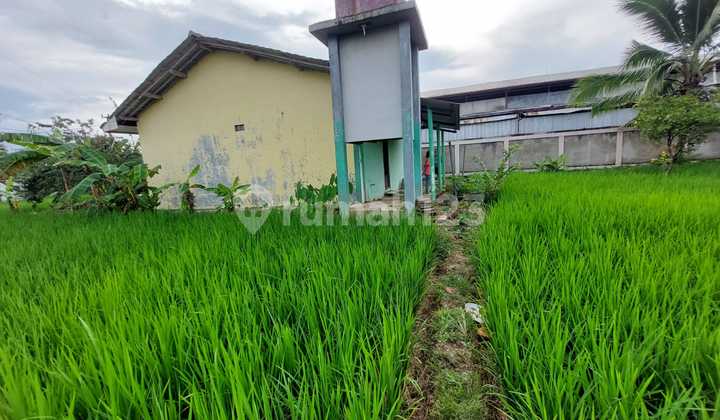 FOR QUICK SALE!! Land and Fishpond in Cariu, Bogor Regency FOR QUICK SALE!! Land and Fishpond in Cariu, Bogor Regency