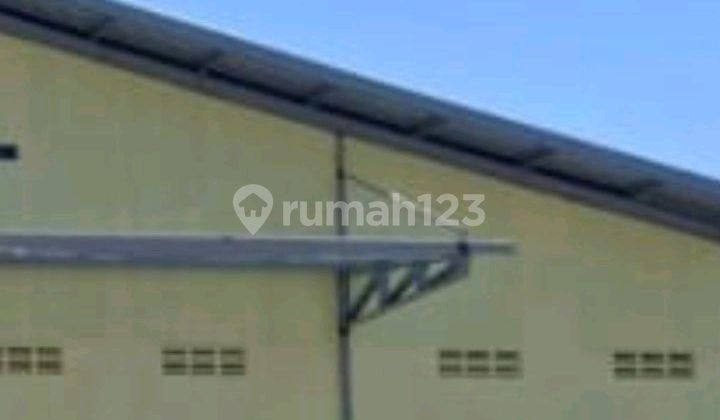 Gudang Baru Disewakan Tinggal Pakai 2