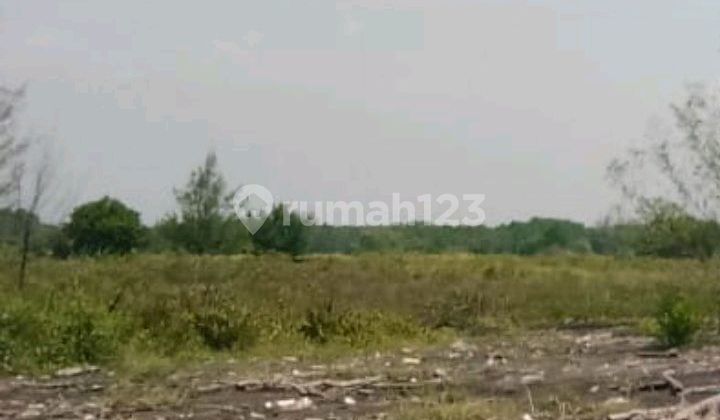 Dijual Tanah Di Batang Zona Merah Strategis