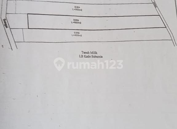 For Sale Plantation Land in Jembarana Negare