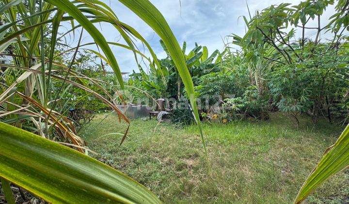 Land for Sale in a Very Strategic Location in Sanur