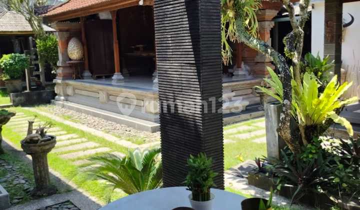For Rent: Minimalist Balinese Style House