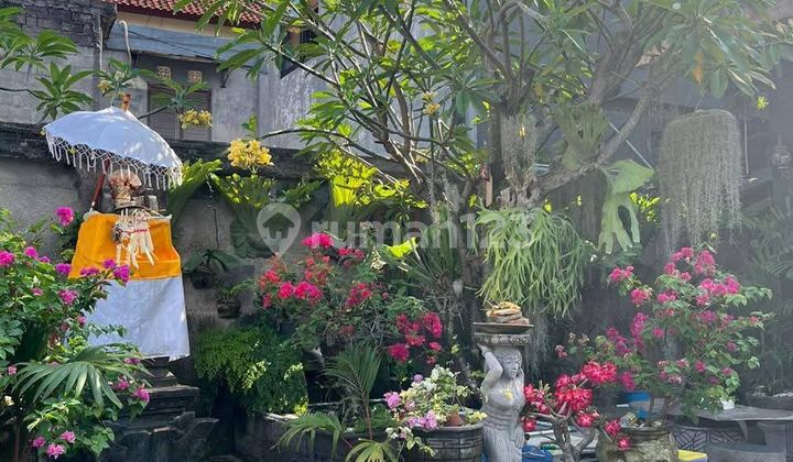 For Rent House In East Denpasar Near Renon Field For Rent House In East Denpasar Near Renon Field