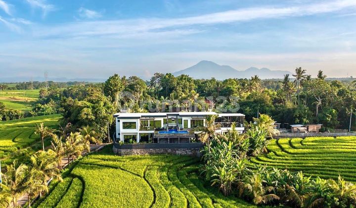 Luxury Villa for Sale in a Very Strategic Location in Tabanan
