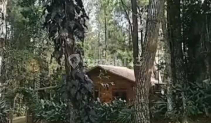 Tanah 5600 m2 kanan kiri villa SHM Lembang, Bandung Barat Tanah 5600 m2 kanan kiri villa SHM Lembang, Bandung Barat