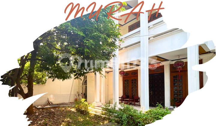 Murah Rumah Hoki Ancol Timur Dijual Luas 561m 2