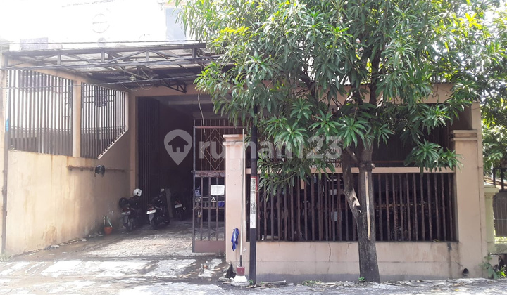 Gudang  Jl.Singa Semarang Timur – 10618 1