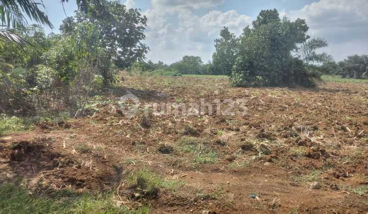 Dijual Tanah Daerah Simalingkar Dekat Kebun Binatang