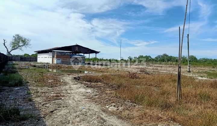 Dijual Tanah Pinggir Jalan Aspal 500 M Dari Pusat Kota Bedagai Dijual Tanah Pinggir Jalan Aspal 500 M Dari Pusat Kota Bedagai