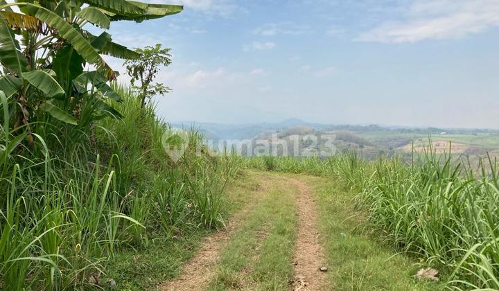 Dijual Banting Harga Tanah Perkebunan Di Ngrimbi Bareng Jombang