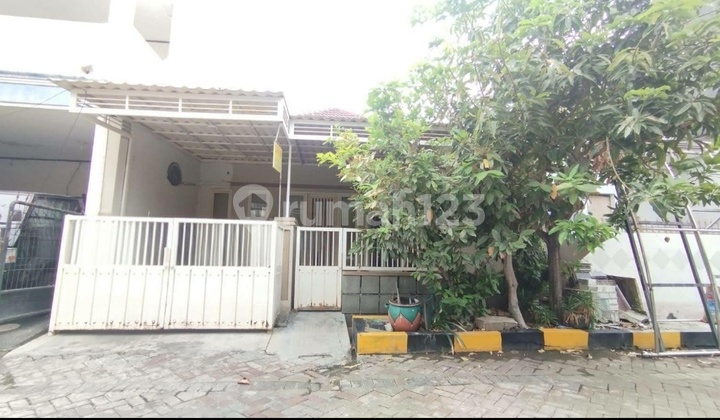 Dijual Murah Rumah Minimalis 1,5 Lantai Nirwana Eksekutif Surabaya