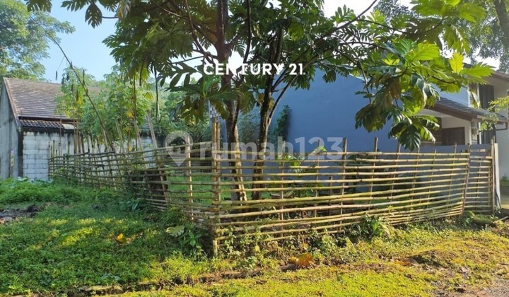 Cheap Plot for Sale in Cisauk Ef 17810 Cheap Plot for Sale in Cisauk Ef 17810