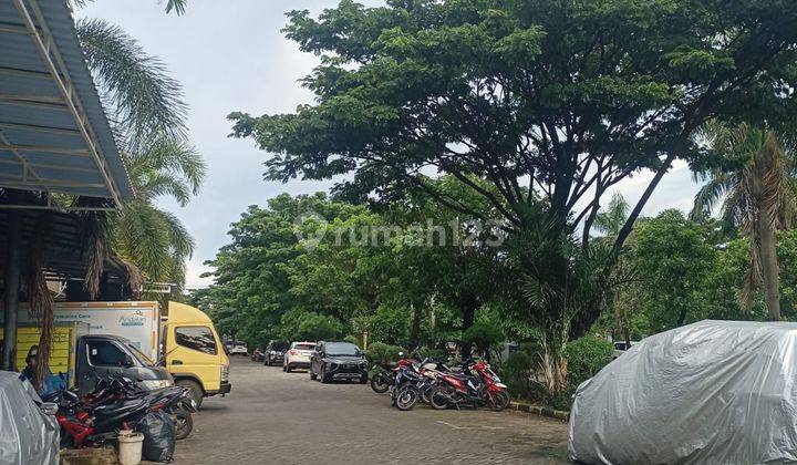 Dijual Ruko di Jl. Mutiara Taman Palem , Jakarta Barat 236 M Bagus HGB 1