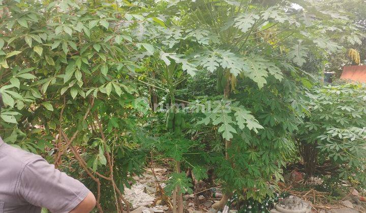 Di Jual Tanah Kosong Daerah Puri Kembangan  2