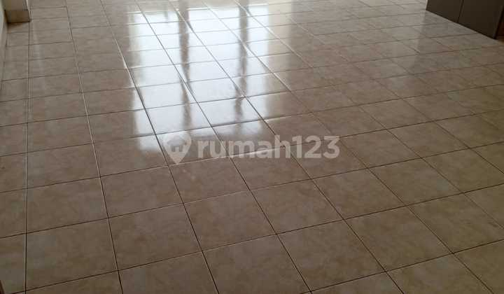 Disewakan Cepat Ruko di Mutiara Taman Palem