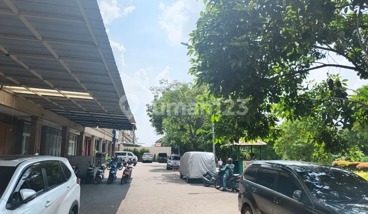 DISEWAKAN CEPAT RUKO GANDENG 3 DI MUTIARA TAMAN PALEM