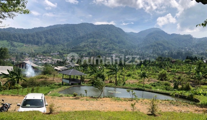 Dijual Tanah View Gunung Salak – 5,5 Hektar COCOK UNTUK USAHA VILLA,GLAMPING,HOTEL
