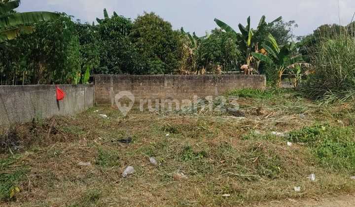 For Sale Cheap Land Plots - Bumimas Ciseeng, Bogor Freehold Certificate | Suitable for Residential & Investment