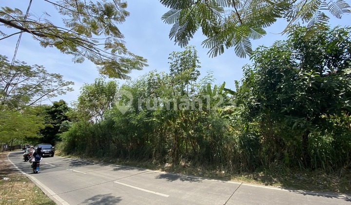 Kaveling Murah di Bukit Nusa Indah - Hanya 5 Juta/M²! 10 Menit Gerbang Tol Pondok Aren / Ciater Raya Kaveling Murah di Bukit Nusa Indah - Hanya 5 Juta/M²! 10 Menit Gerbang Tol Pondok Aren / Ciater Raya