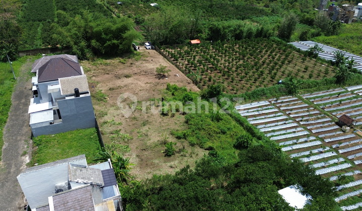 Tanah Siap Bangun di Dau Cocok untuk Investasi Tanah Siap Bangun di Dau Cocok untuk Investasi