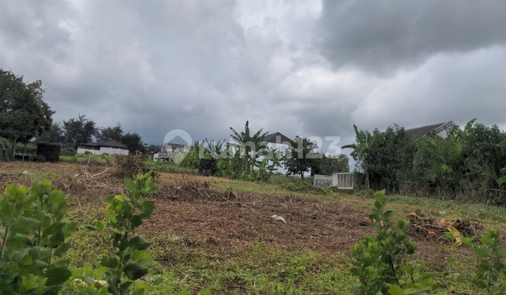 Area 200 M2 Only 600 Million Near Campus Ready for Name Change