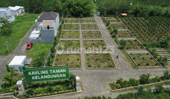 Tanah SHM Akses Tuban-Malang Mudah