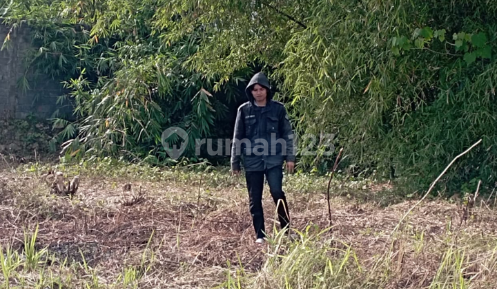 Kavling Dekat Area Kampus Favorit Tanah SHM Aman untuk Investasi