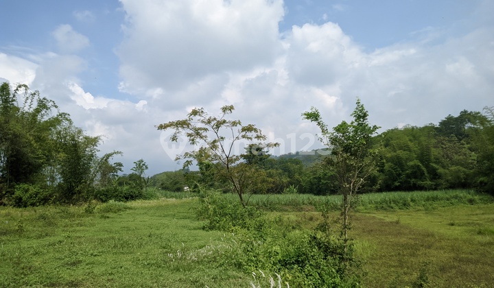 Investasi Tanah Murah 100 Jutaan di Malang