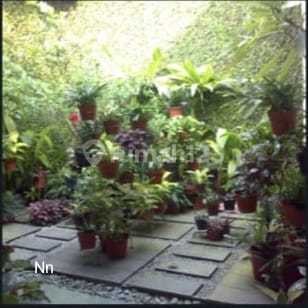 Rumah Bagus dan Megah di Kawasan Margonda, Depok 2