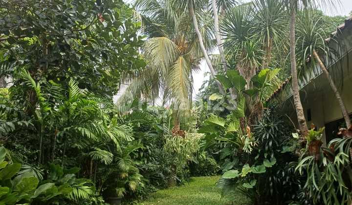 Dijual Rumah Asri Di Pusat Kota Jakarta Selatan