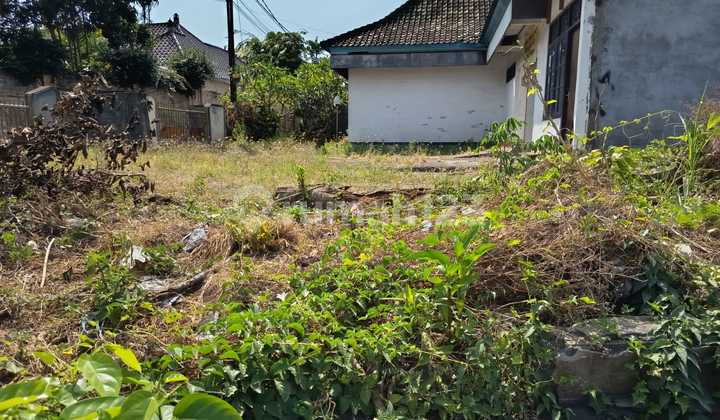 Rumah Sederhana Dilahan Yang Luas 2