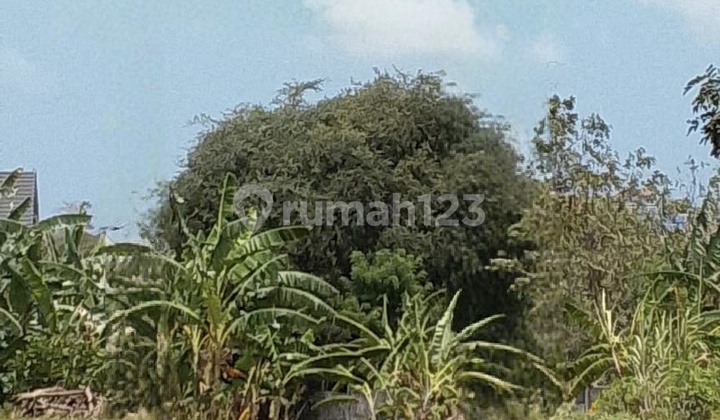 Tanah Strategis 18 Are Di Jimbaran