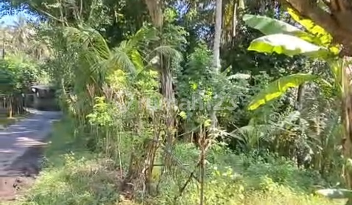 Tanah Murah Dekat Candi Dasa Bali Tanah Murah Dekat Candi Dasa Bali