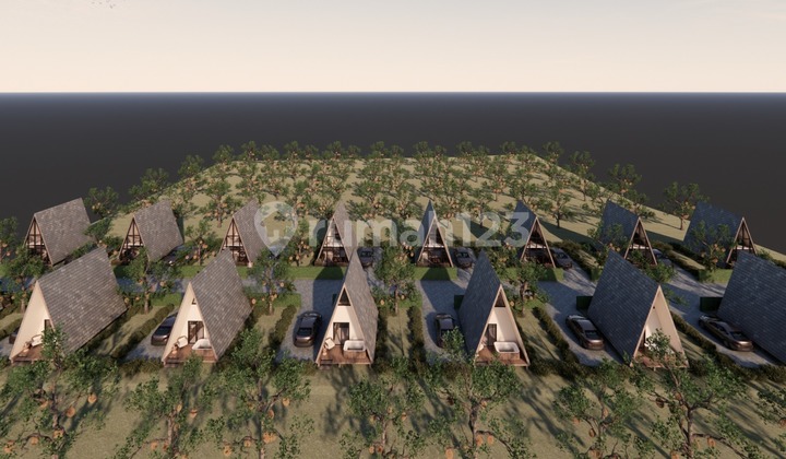 Musang King Durian Farm in Tabanan