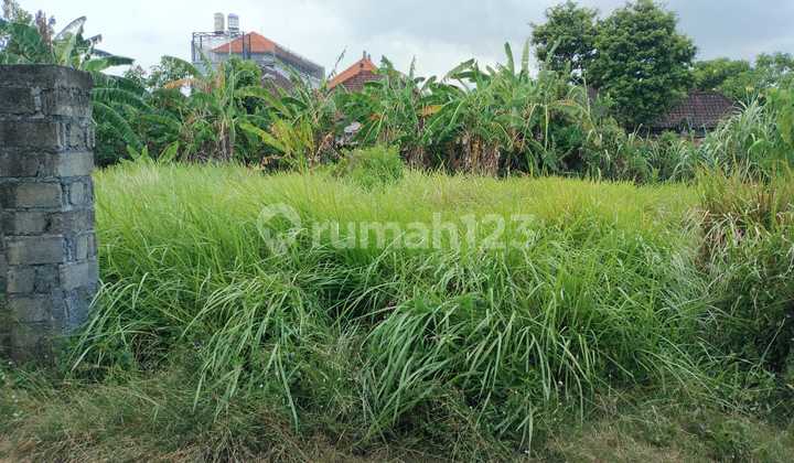 4 Are Land on Sedap Malam Street with SHM