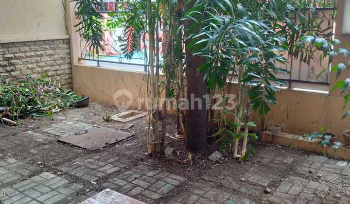 Rumah Tanjung Duren Rumah Tanjung Duren