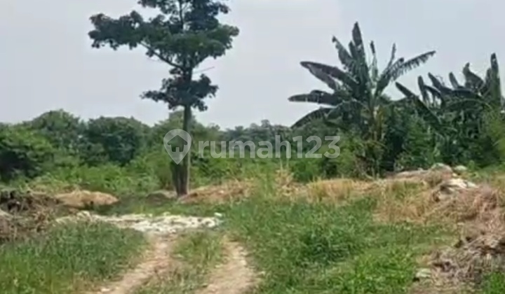 Di Jual Tanah Padat Di Karawaci Di Jual Tanah Padat Di Karawaci