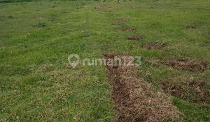 Tanah Di Jual Suoer Suoer Murah Di Daerah Rajeg ******** Banget Buat Lahan Komersial