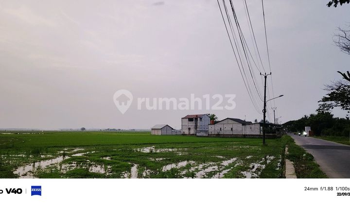 Buy a House Profit in Sukadiri Subdistrict Tangerang Banten