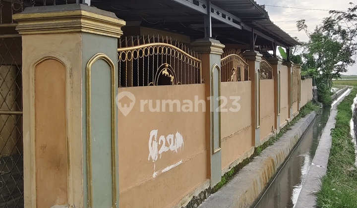 Rumah Bagus di Jual di Kecamatan Sukadiri.tanah Luas Murah 2
