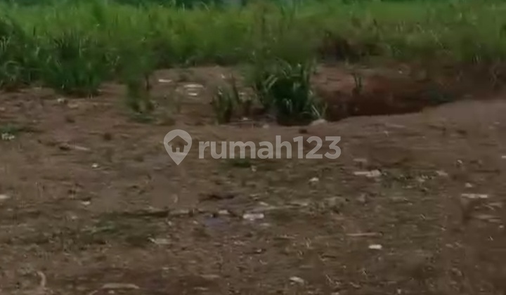 Di Jual Tanah Kosong Harga Di Bawah Njop,di Selapajang Neglaaari Tangerang