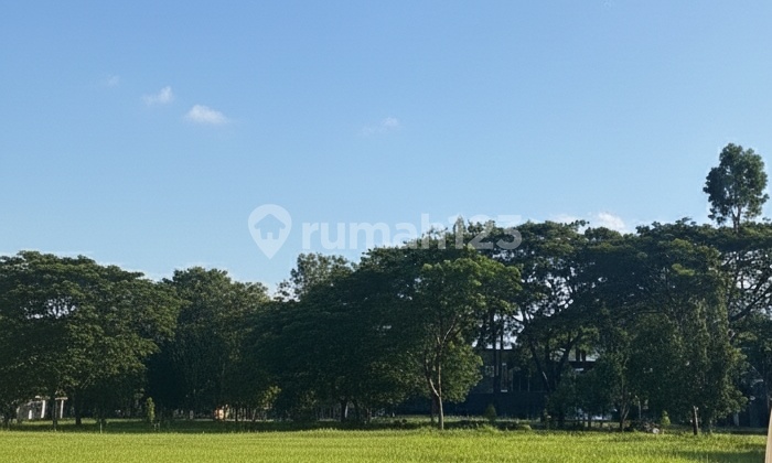 Dijual Cepat Kavling Tanah Di Cluster Magnolia 220m², Perumahan Puri Botanical , Joglo, Kembangan Dijual Cepat Kavling Tanah Di Cluster Magnolia 220m², Perumahan Puri Botanical , Joglo, Kembangan